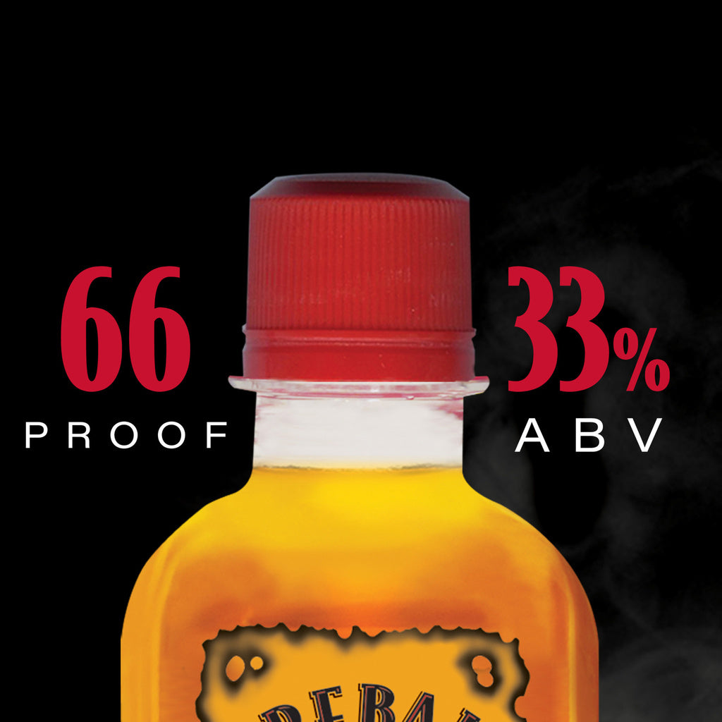 Fireball Cinnamon Whisky 100 ml product image 2