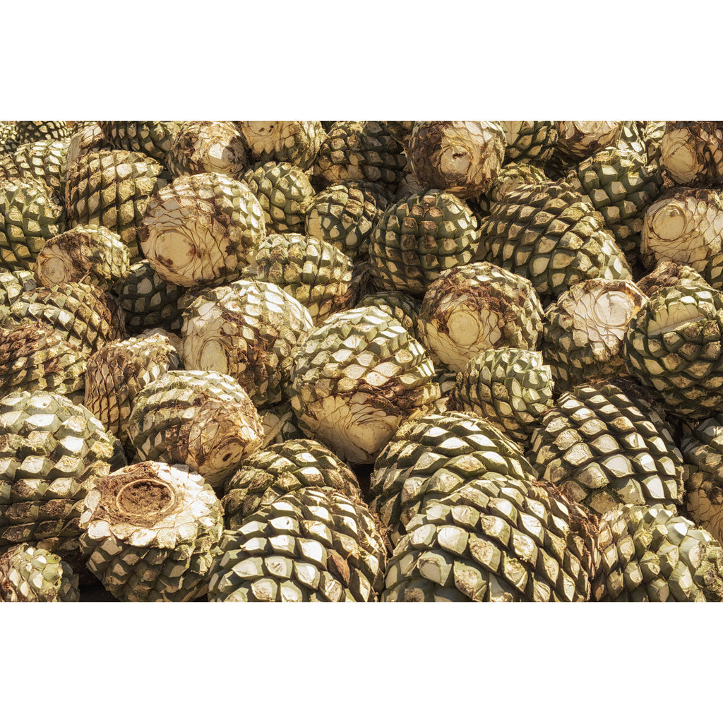 El Jimador Reposado 750 ml product image 4