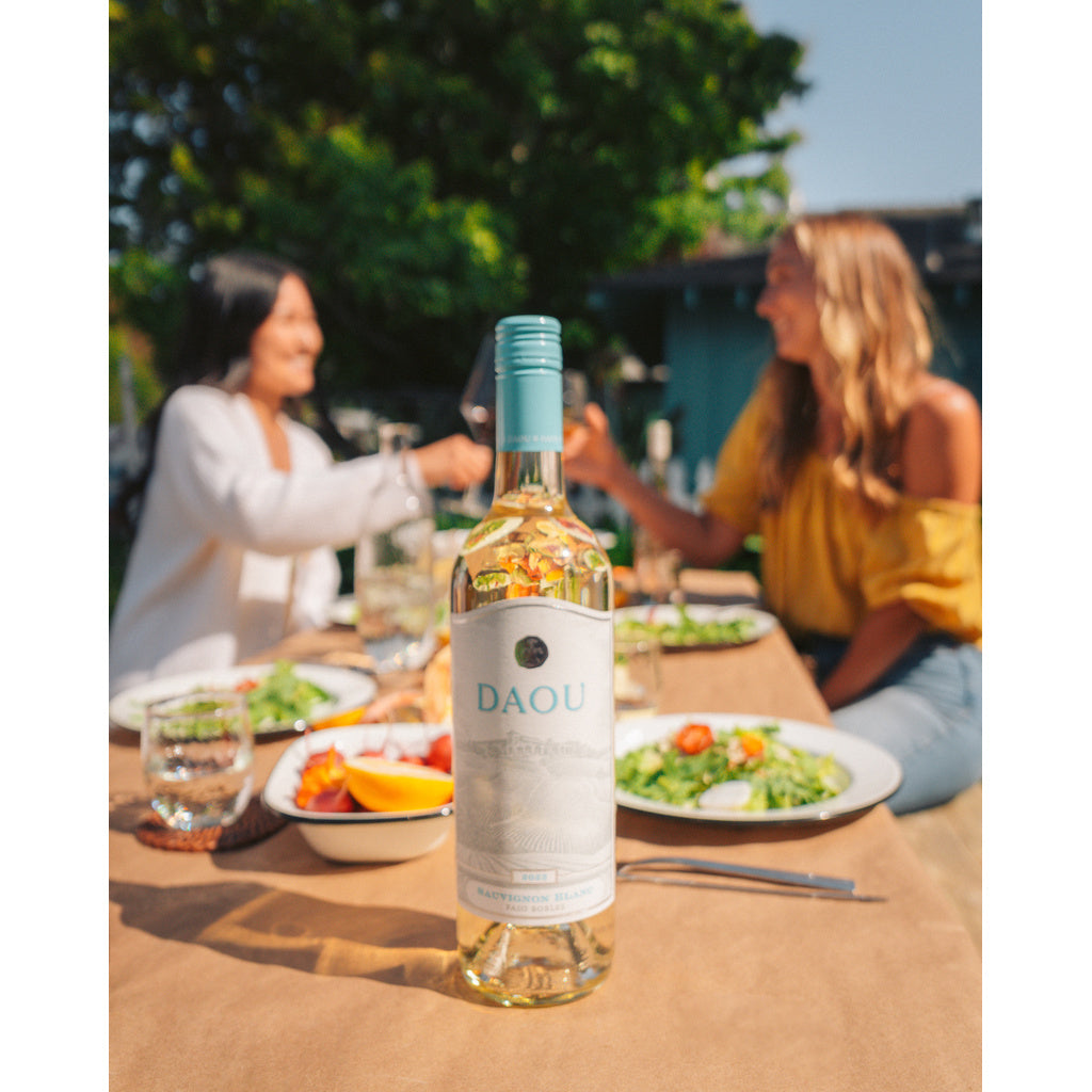 DAOU Sauvignon Blanc 750 ml product image 4