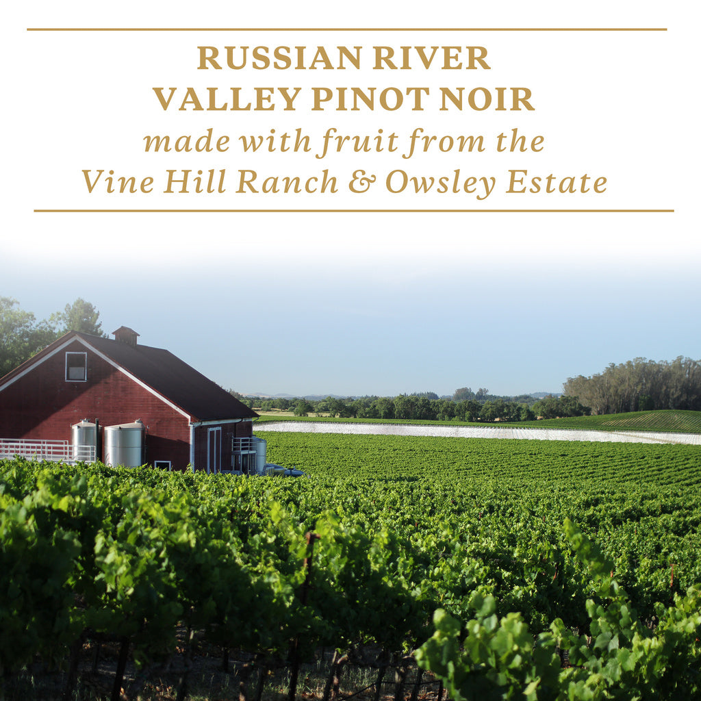 Sonoma-Cutrer Winemaker's Release Rose of Pinot Noir 2019 750 ml product image 3