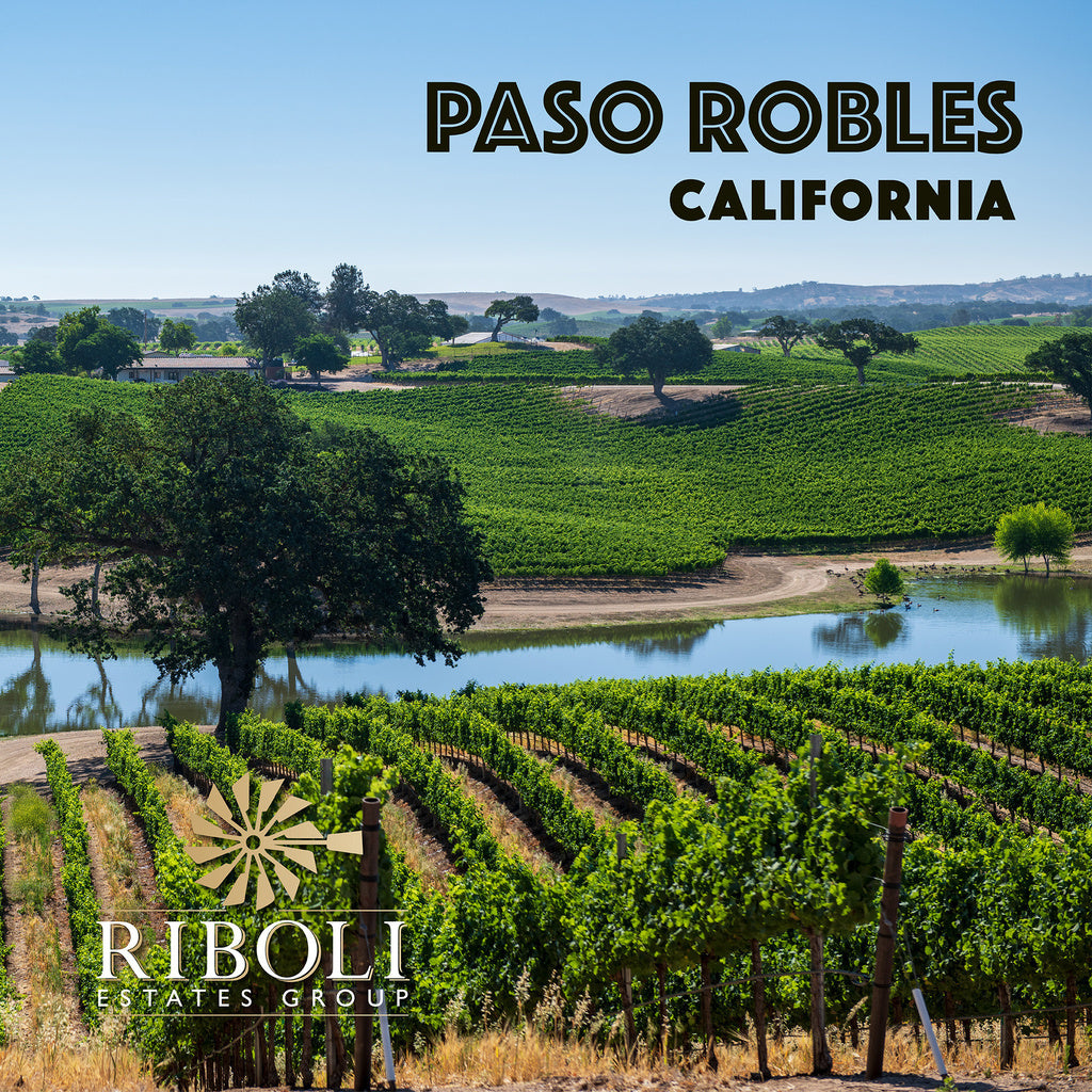 Maddalena Paso Robles Cabernet Sauvignon 750 ml product image 17