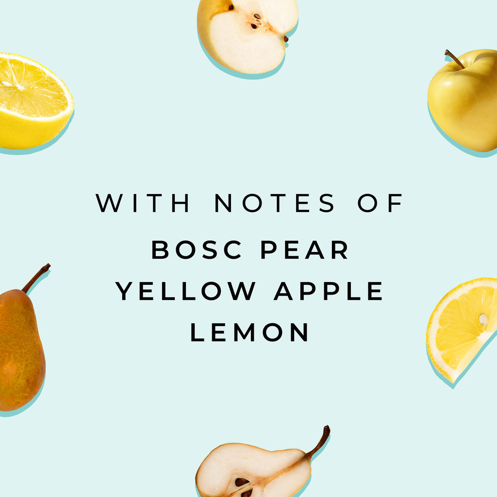 Stella Rosa Procsecco Doc Treviso 750 ml product image 12