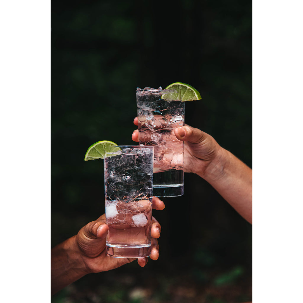 Seagrams Extra Dry 750 ml product image 10