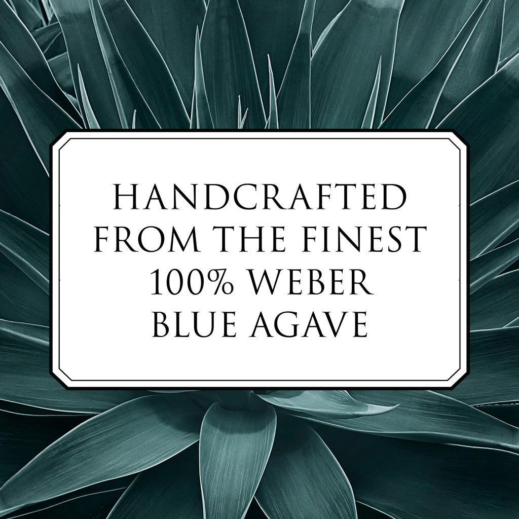 Patron Gran Burdeos Añejo 750 ml product image 6