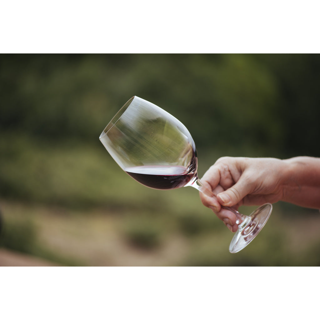 Kenwood Six ridges chardonnay California 2019 750 ml product image 2