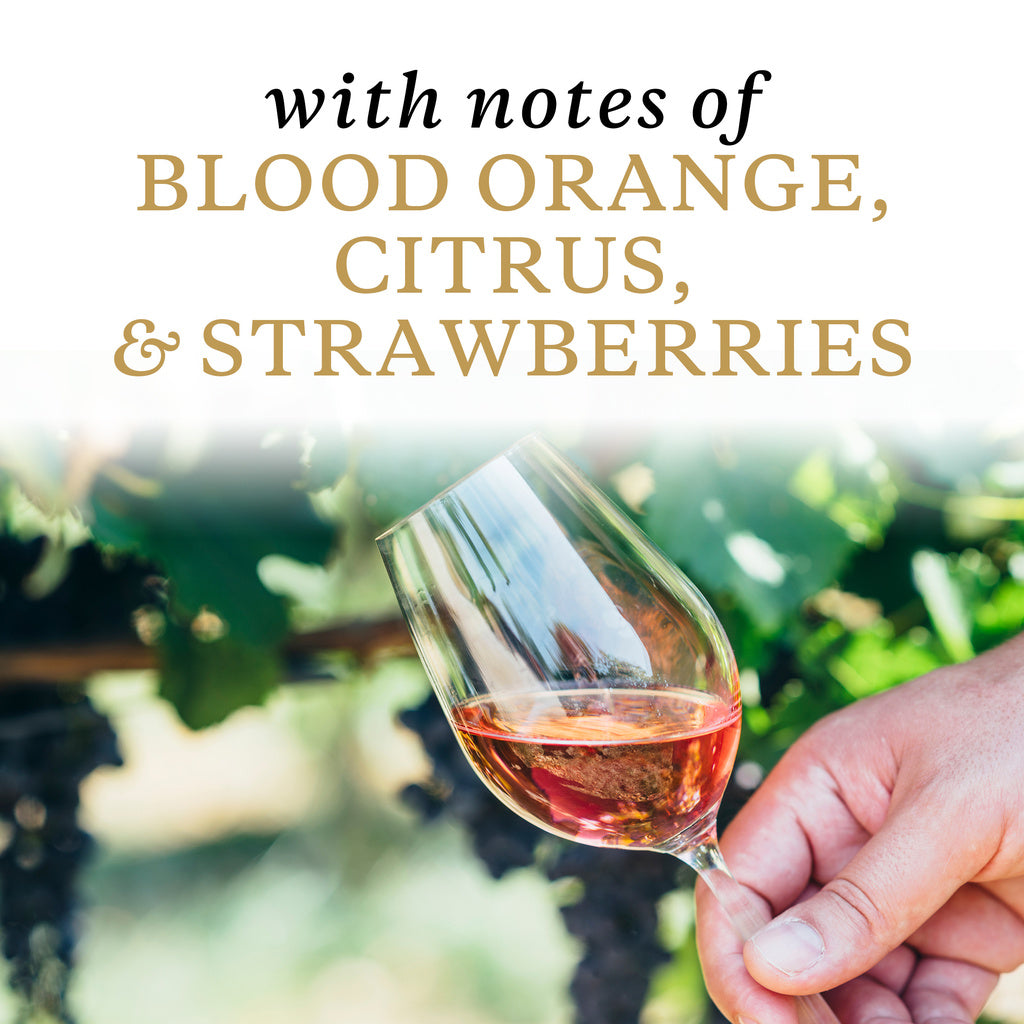 Sonoma-Cutrer Winemaker's Release Rose of Pinot Noir 2019 750 ml product image 4