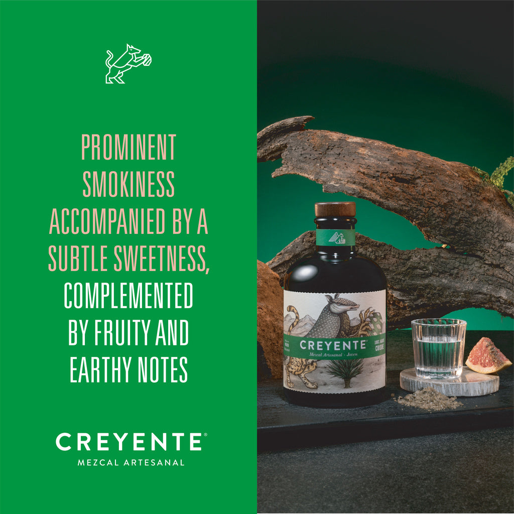 Creyente Mezcal Artesanal Joven Cuishe 750 ml product image 19