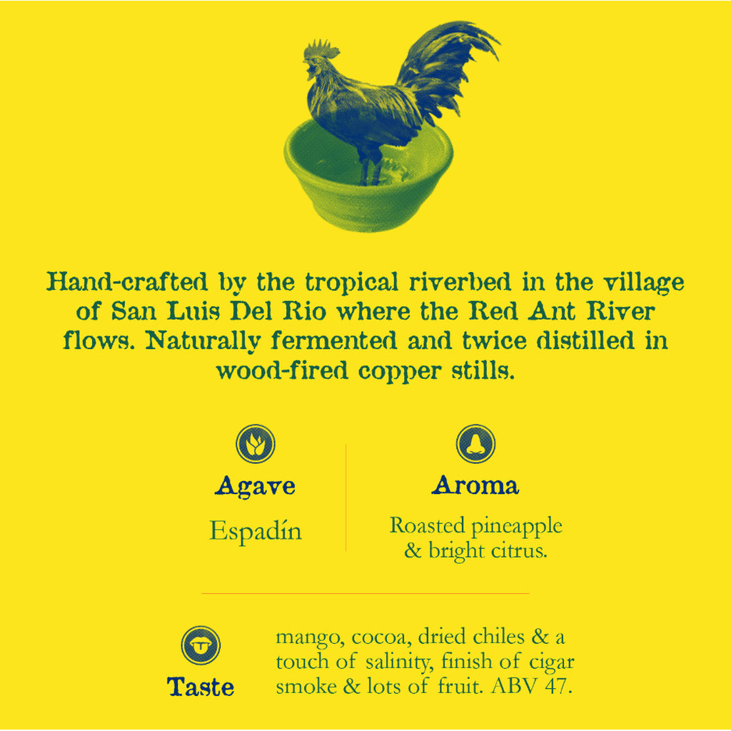 Del Maguey Single Village Mezcal San Luis Del Rio Proof 93 750 ml product image 7