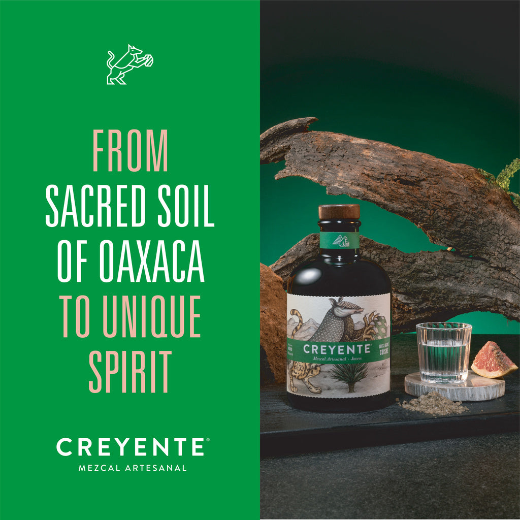 Creyente Mezcal Artesanal Joven Cuishe 750 ml product image 5