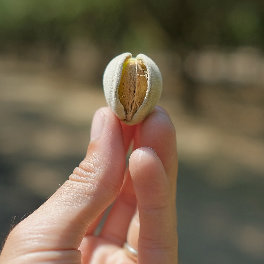 Gray Whale Gin Cali Botanicals 750 ml product image 4