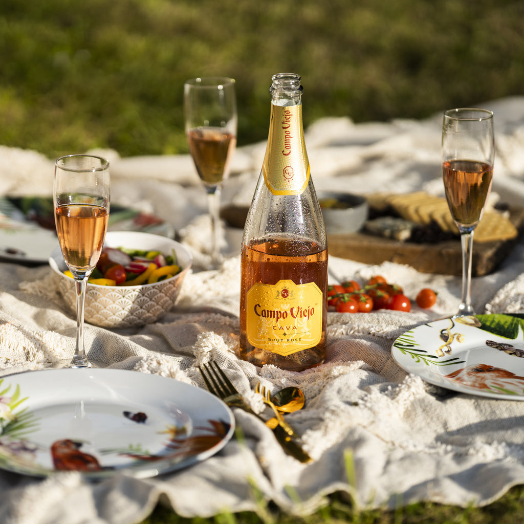 Campo Viejo Cava Brut Rose 750 ml product image 3