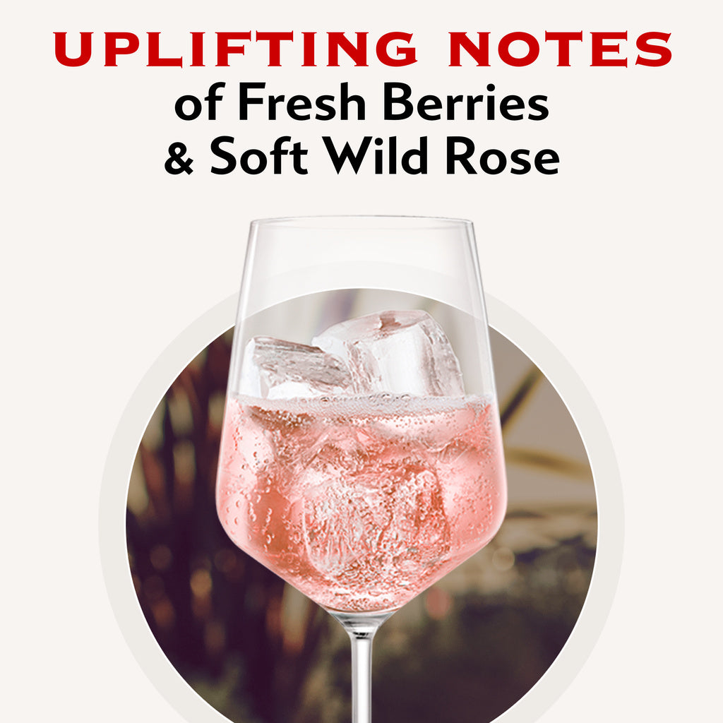 Martini & Rossi Rose 750 ml product image 6