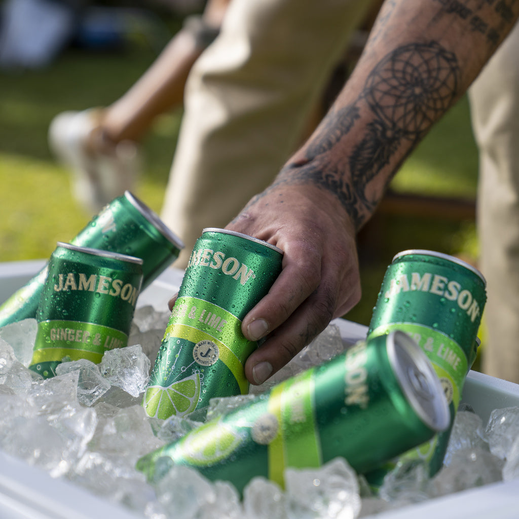 Jameson Ginger & Lime (4 cans) 355 ml product image 9