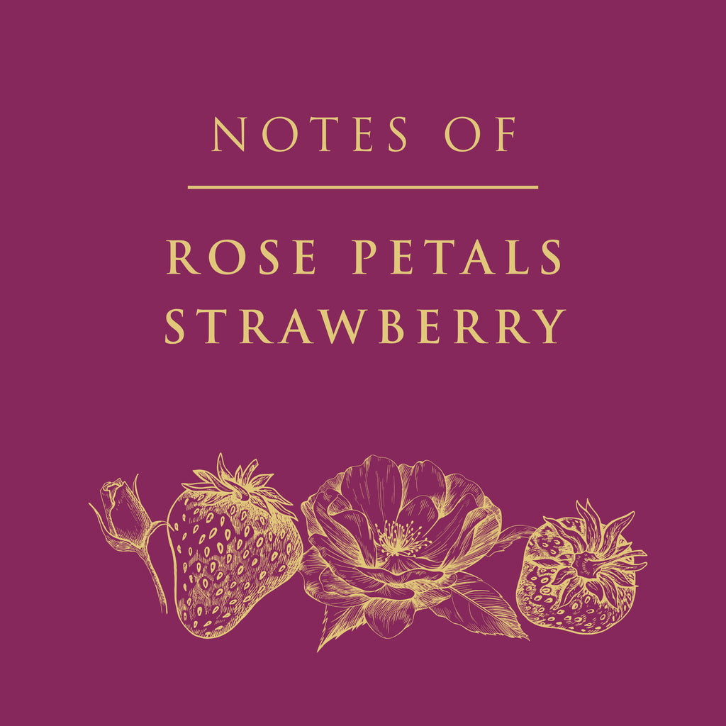 Stella Rosa Rose V.S. Prosecco D.O.C Sparkling 750 ml product image 9