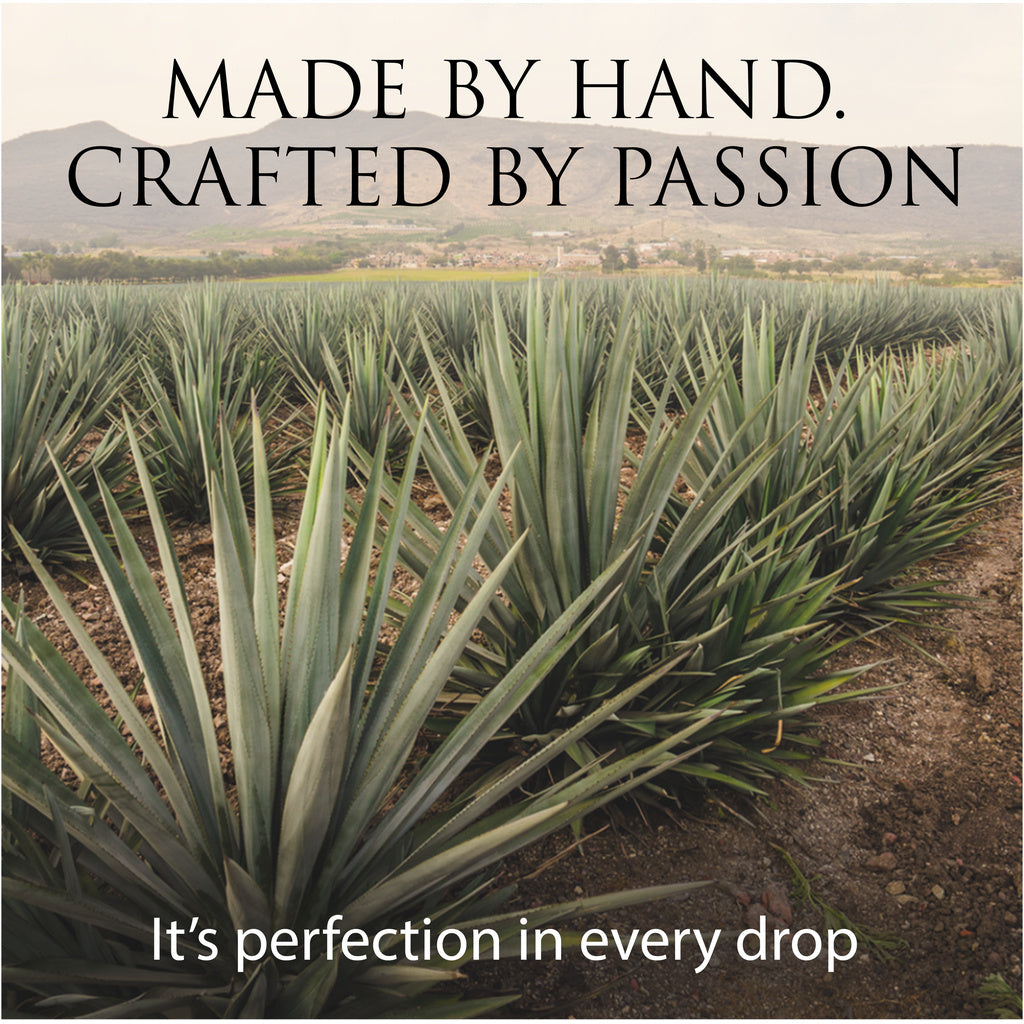 Patron El Cielo 700 ml product image 8