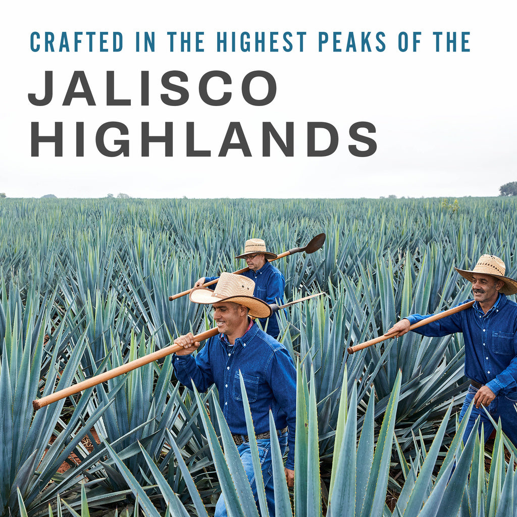 Teremana Small Batch Tequila Blanco 375 ml product image 3