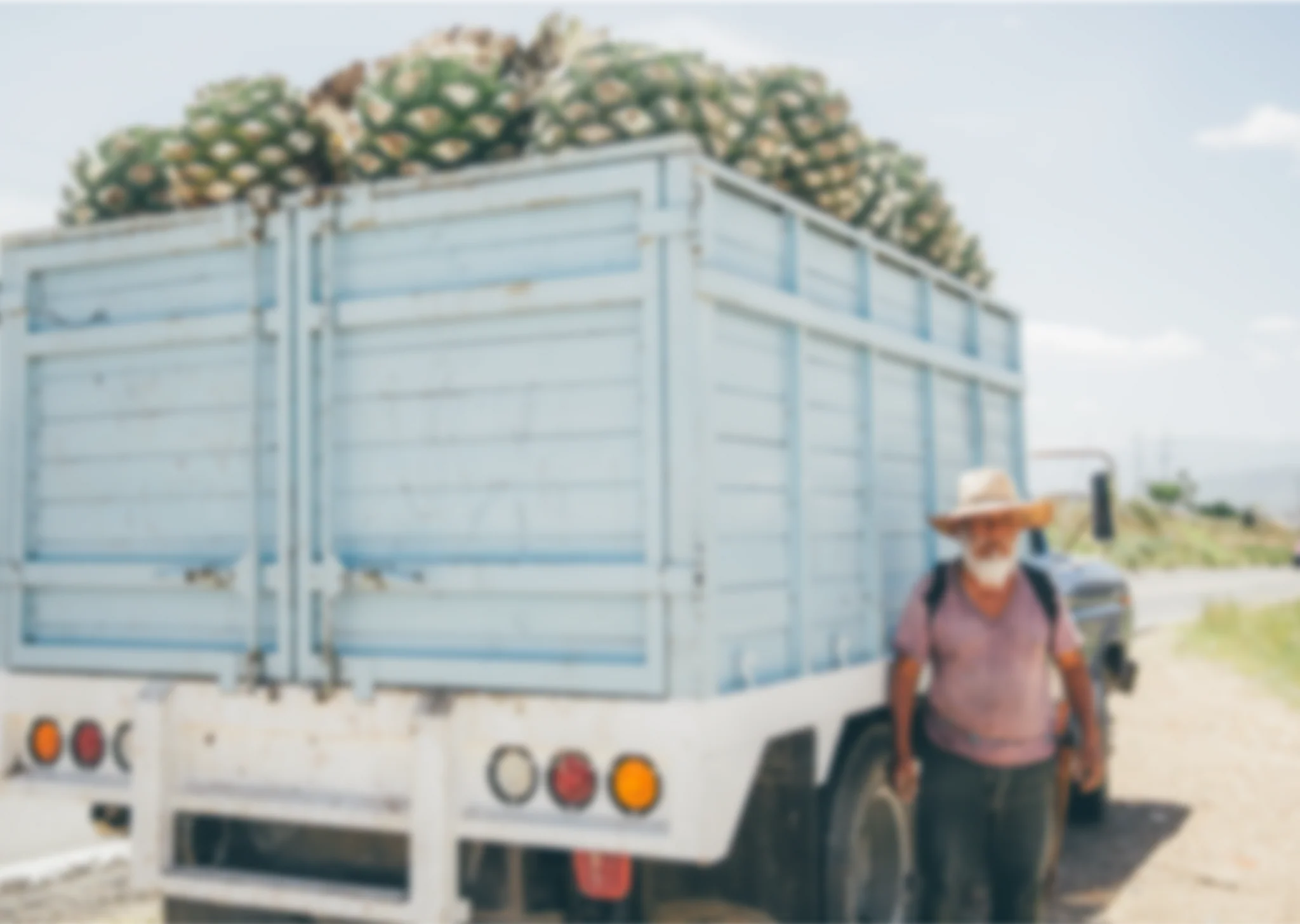 Dos Hombres Mezcal Artesanal Joven Espadin 375 ml product image 2